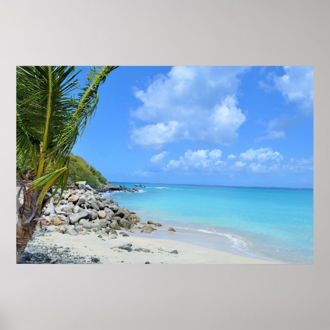 Schöne türkisfarbene tropische Strand Poster (Vorne)