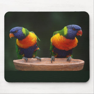 Schöne und farbenfrohe blaue Grüne und orangefarbe Mousepad