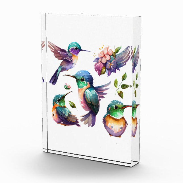 Schöne und Niedliche Vögel für Vogelliebhaber Fotoblock (Rechts)