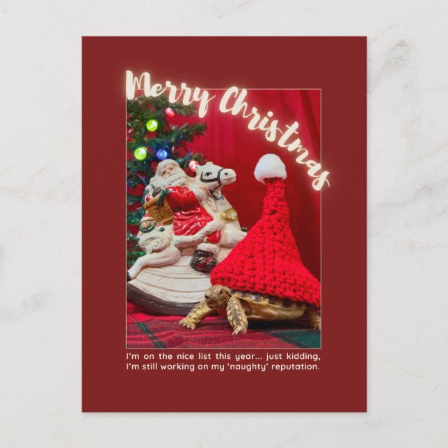 Schöne und Niedliche Weihnachtsjugendschildkröte m Postkarte (Vorderseite)