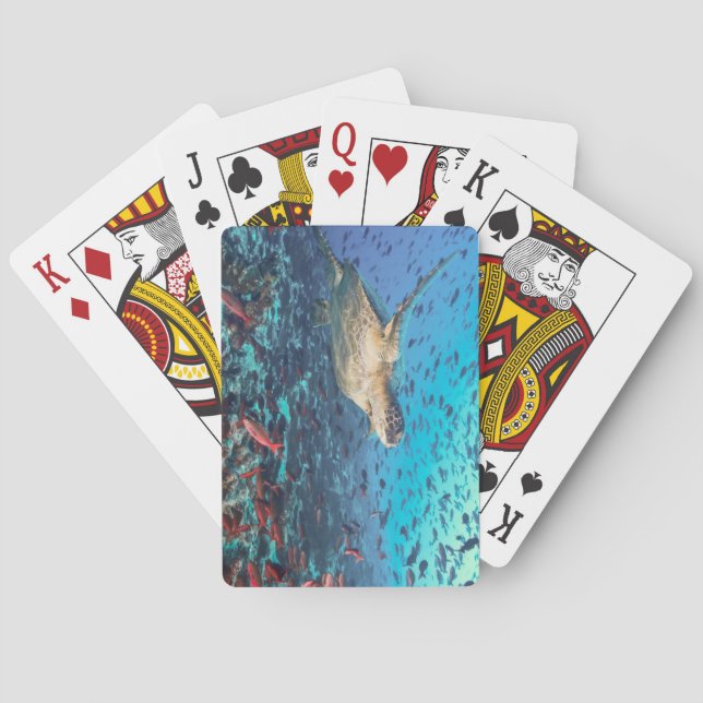 Schöne Unterwasserwelt Deck of Playing Cards Spielkarten (Rückseite)