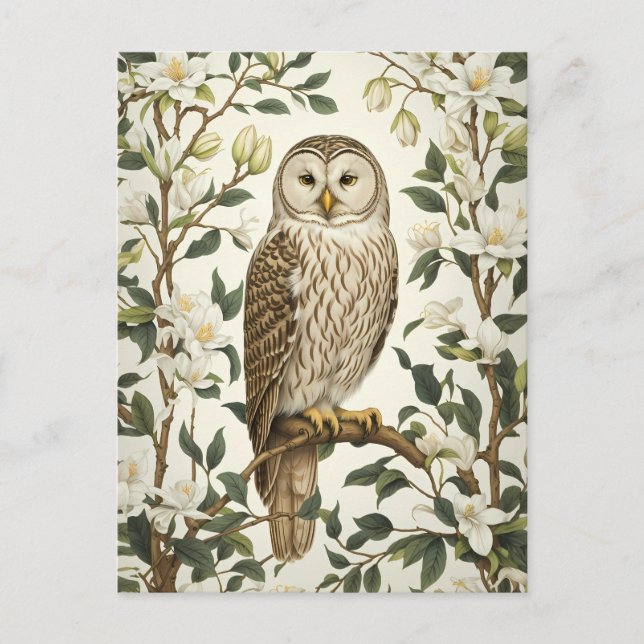 Schöne Urkugel und Magnolienblüten Postkarte (Vorderseite)