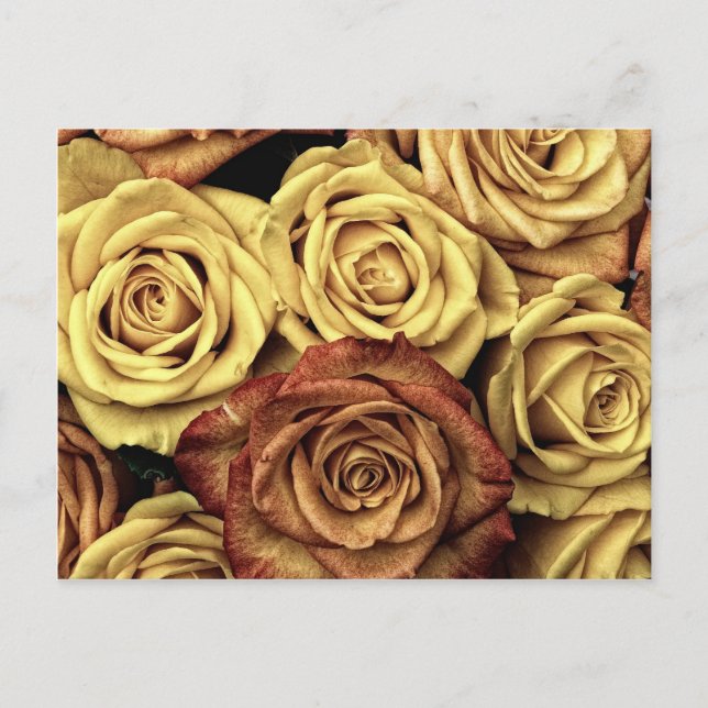 Schöne, verblichene Rose Vintage Blumenstrauß Postkarte (Vorderseite)