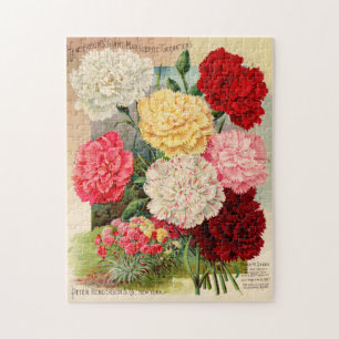 Schöne Viktorianische Blumensorten