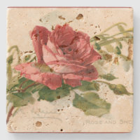 Schöne Viktorianische Rote Rose