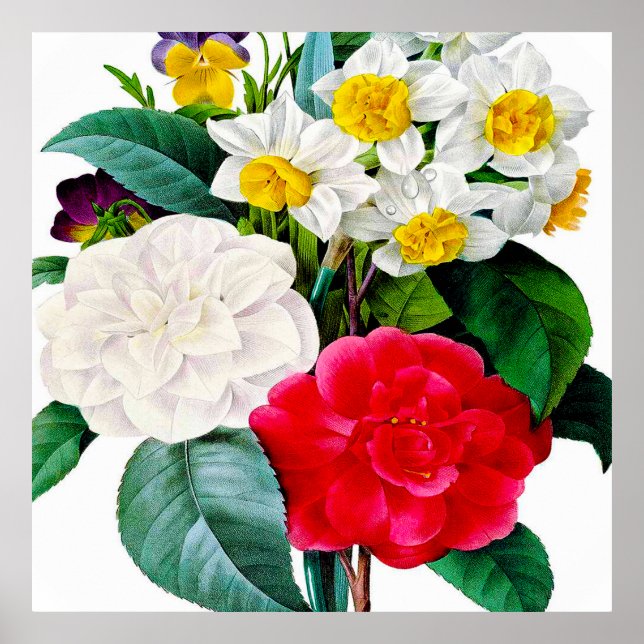 Schöne Vintage Blume Poster (Vorne)