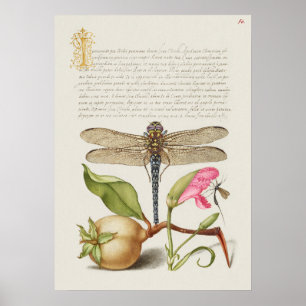 Schöne Vintage botanische Illustration Poster