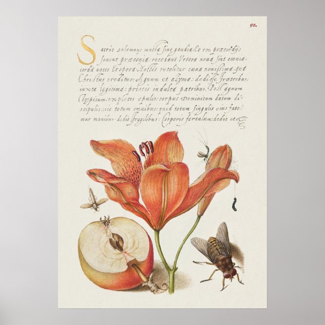 Schöne Vintage botanische Illustration Poster (Vorne)