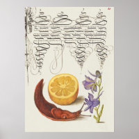 Schöne Vintage botanische Illustration