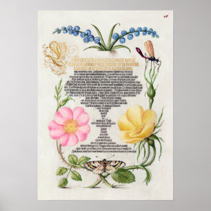 Schöne Vintage botanische Illustration Poster