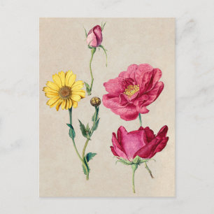 Schöne Vintage botanische Illustration Postkarte
