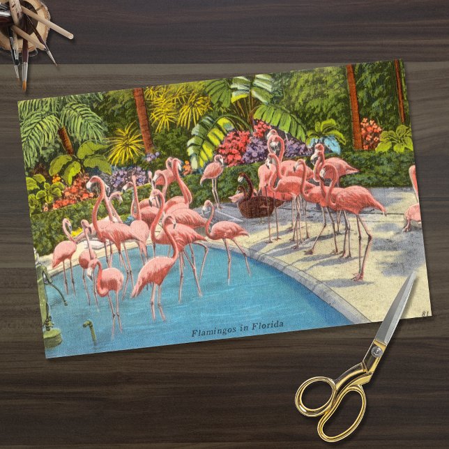 Schöne Vintage Flamingos in Florida Seidenpapier (Von Creator hochgeladen)