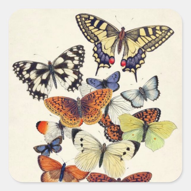 Schöne Vintage Gartenschmetterlinge Quadratischer Aufkleber (Vorderseite)