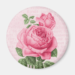 Schöne Vintage rosa Rose Magnet