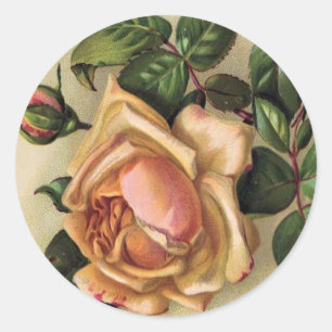 *Schöne Vintage-Rosen* Runder Aufkleber