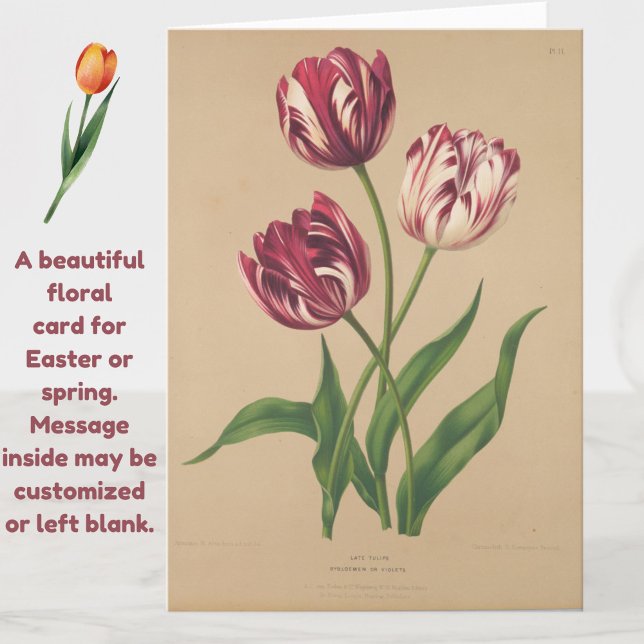 Schöne Vintage Tulips Osterkarte Karte (A beautiful vintage tulips card for Easter or any occasion.)