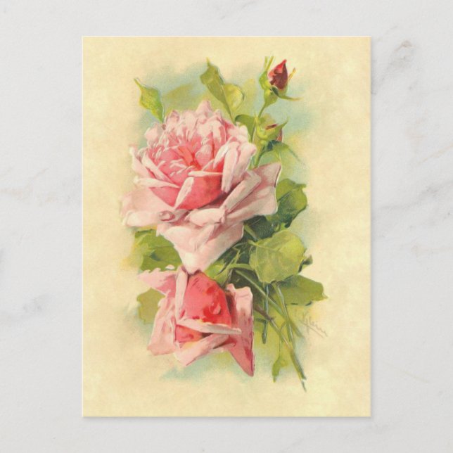 Schöne Vintage Viktorianische Blume Rose Bouquet Postkarte (Vorderseite)
