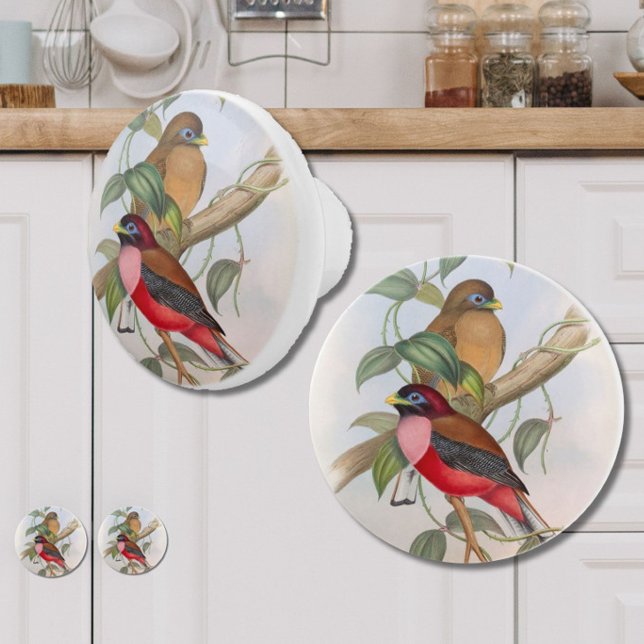 Schöne Vintage Vögel Modernes Bauernhaus Keramikknauf (Add vintage charm and style to your kitchen, bedroom or bathroom with these beautiful bird knobs!)