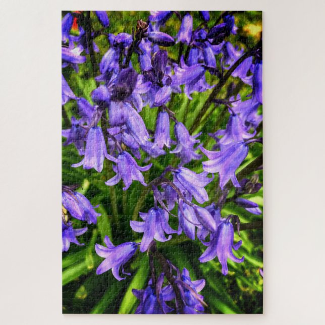 Schöne violette Blumen (Vertikal)