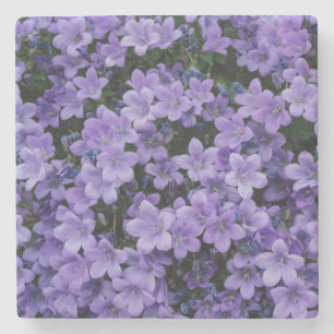 Schöne violette Blumen Steinuntersetzer
