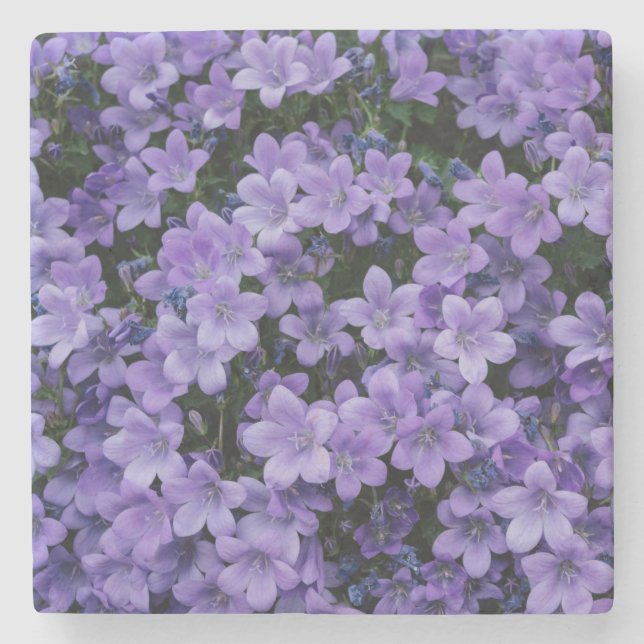 Schöne violette Blumen Steinuntersetzer (Vorderseite)