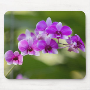 Schöne violette Orchidee Mousepad