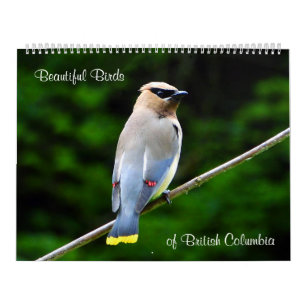 Schöne Vögel, des Britisch-Columbia Kalender