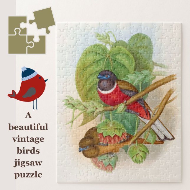 Schöne Vögel farbenfrohe Vintage Illustration (A beautiful vintage birds jigsaw for puzzle lovers!)