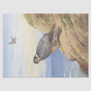 Schöne Vogelperegrine Falcon Decoupage Seidenpapier