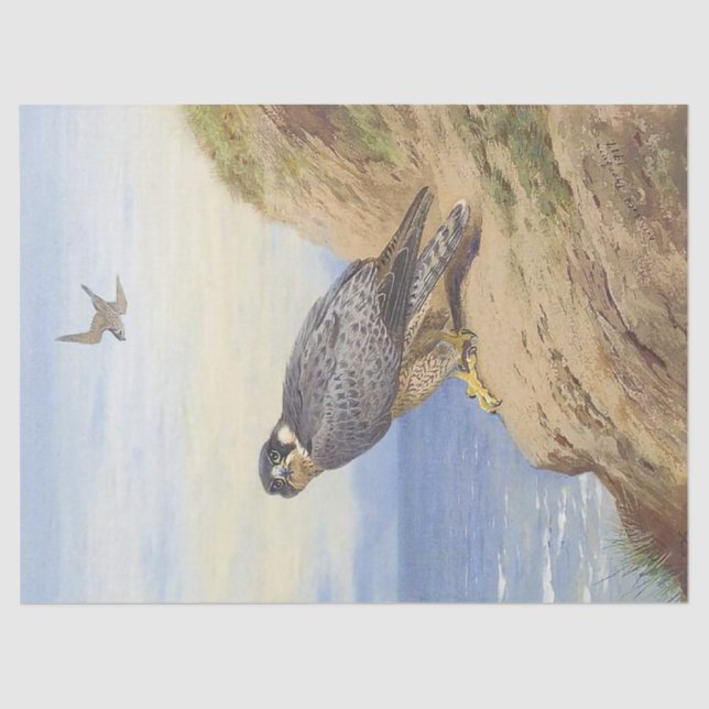 Schöne Vogelperegrine Falcon Decoupage Seidenpapier (Vorderseite)