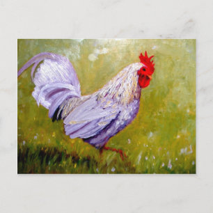 schöne Vogelpostkarten 12 Postkarte