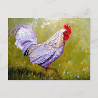 schöne Vogelpostkarten 12 Postkarte