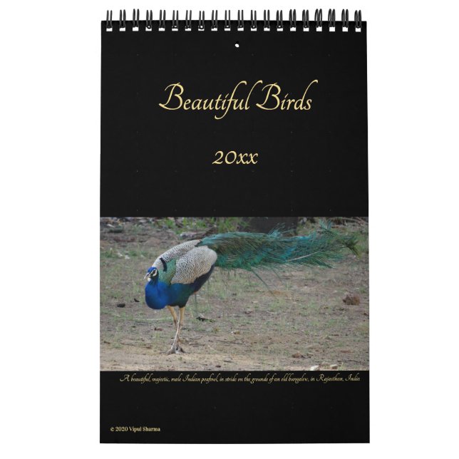 Schöne Vogelschutzfotografie-Vogelbeobachter 2026 Kalender (Titelbild)
