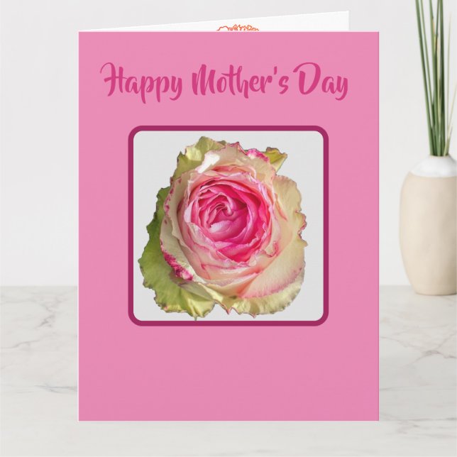 Schöne volle rosa Rose Muttertag Karte (Vorderseite)