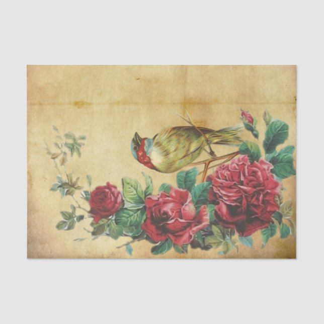 Schöne volle Rote Rosen mit Regal Bird Seidenpapier (Vorderseite)
