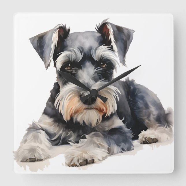 SCHÖNE WASSERFARBMINIATUR SCHNAUZER HUND QUADRATISCHE WANDUHR (Vorderseite)