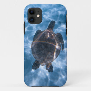 Schöne Wasserschildkröte Bestes Geschenk für das Case-Mate iPhone Hülle