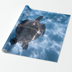 Schöne Wasserschildkröte Bestes Geschenk für das Geschenkpapier