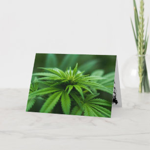 Schöne Weed Karte