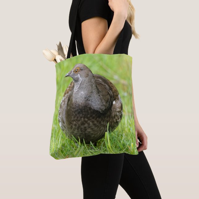 Schöne, weiche Grouse im Gras Tasche (Von Nahem)