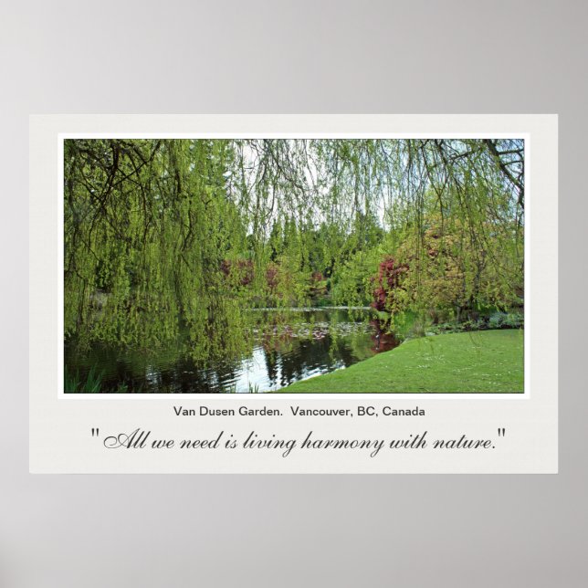 Schöne weiche, grüne Quelle Weiden Baum und Teich. Poster (Vorne)