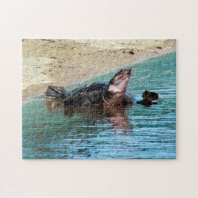 Schöne weiche Muschel Schildkröte am Strand (Horizontal)