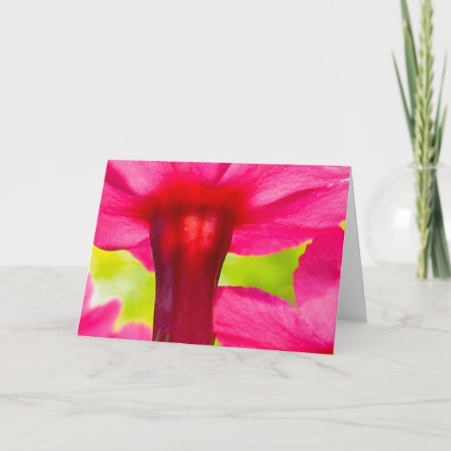 Schöne, weiche, rosa, florale Natur Karte (Vorderseite)