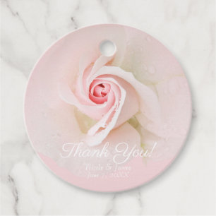 Schöne weiche rosa nasse Rose elegante Babyparty Geschenkanhänger