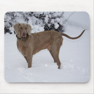 Schöne Weimaraner im Schnee Mousepad