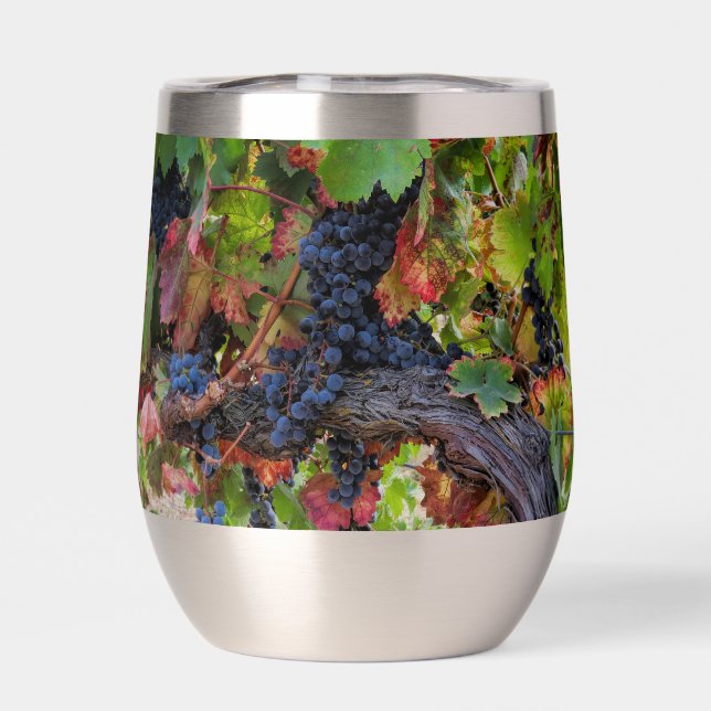 Schöne Weintrauben und Wein (Rückseite)