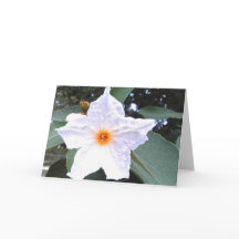 Schöne weiße Blume Blank Grußkarte