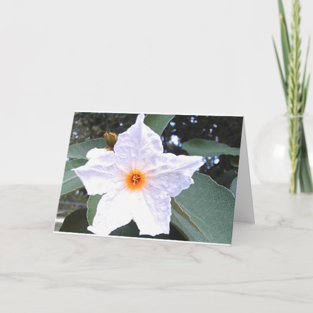 Schöne weiße Blume Blank Grußkarte Karte (Vorderseite)