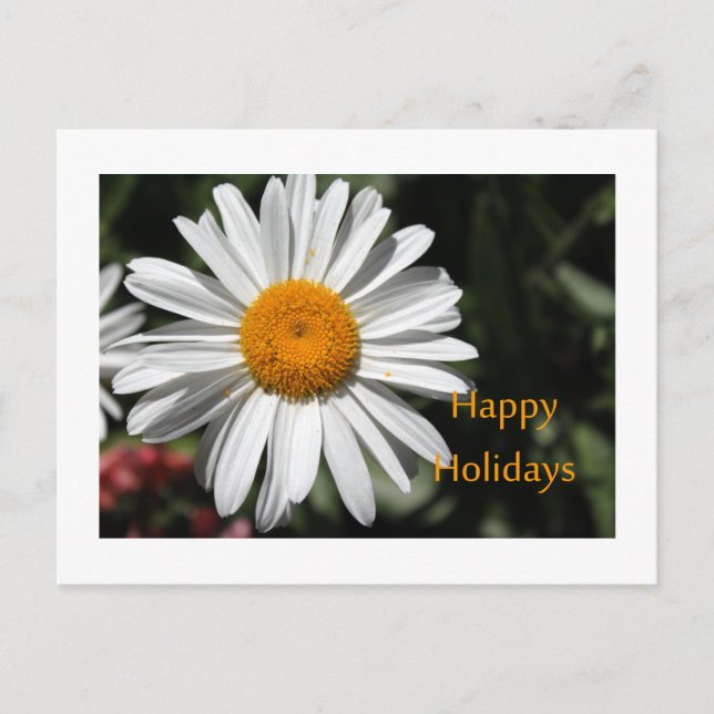 Schöne weiße Blume Gaumenfreuden Feiertagspostkarte (Vorderseite)