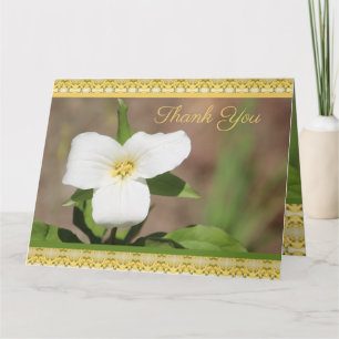 Schöne weiße Blume Karte